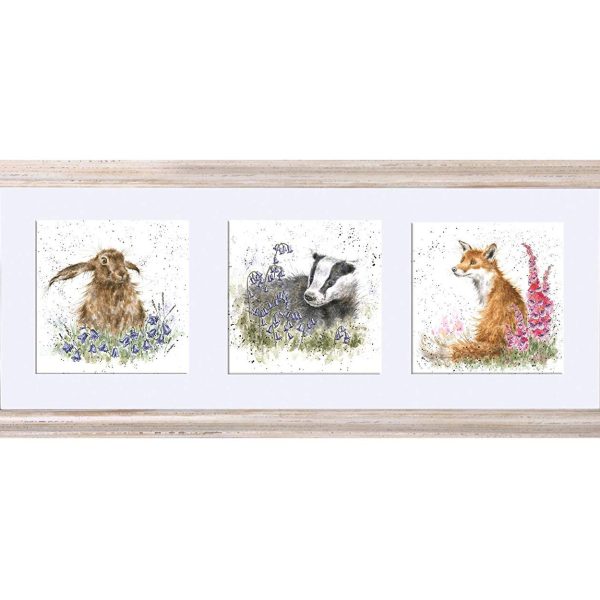 a trio of woodland flora and fauna wrendale designs
