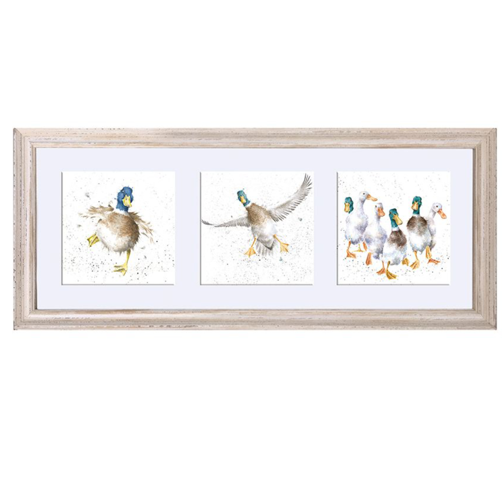 wrendale designs trio of ducks