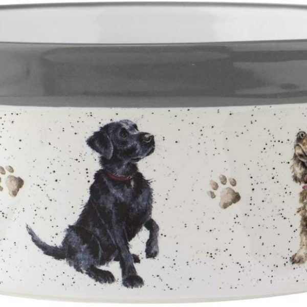 Ceramic Dog Treat Jar or Dog Bowl Wrendale Designs Royal Worcester
