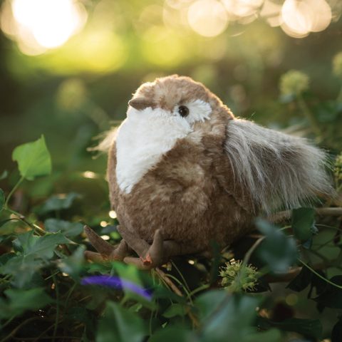 wren plush