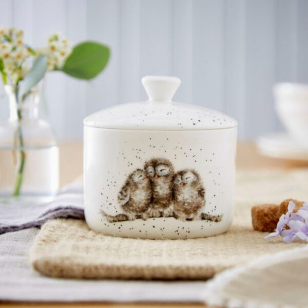 wrendale designs small owl storage jar royal worcester