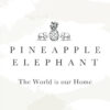 Pineapple Elephant Logo Image