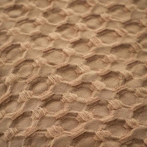 Pineapple Elephant Muscat Waffle Caramel Detail Image
