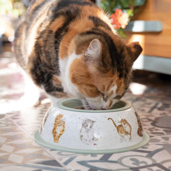 Wrendale Designs Cat Bowl Main Image