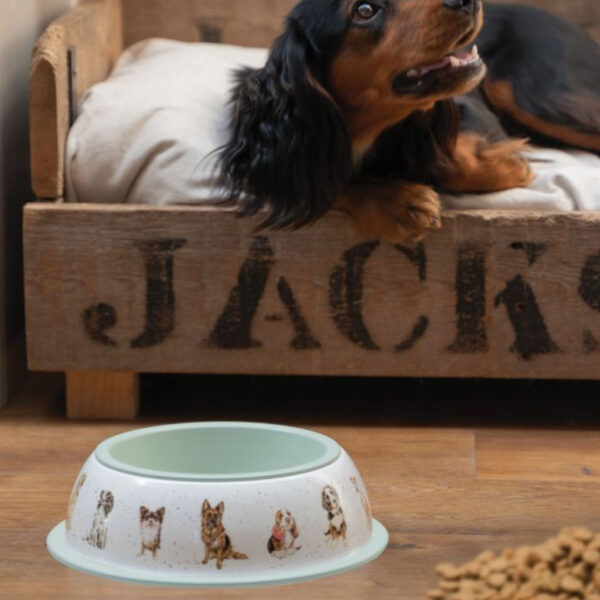 Wrendale Designs Dog Bowl Main Image
