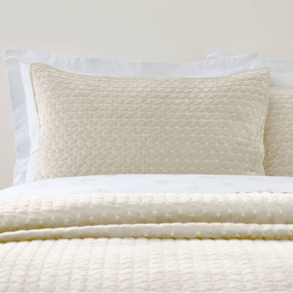 Bianca Attica Velvet Bedspread & Pillowsham Natural Close Up Image