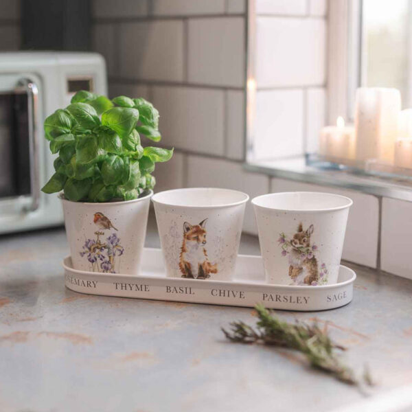 Wrendale Woodland Herb Pots Set of 3