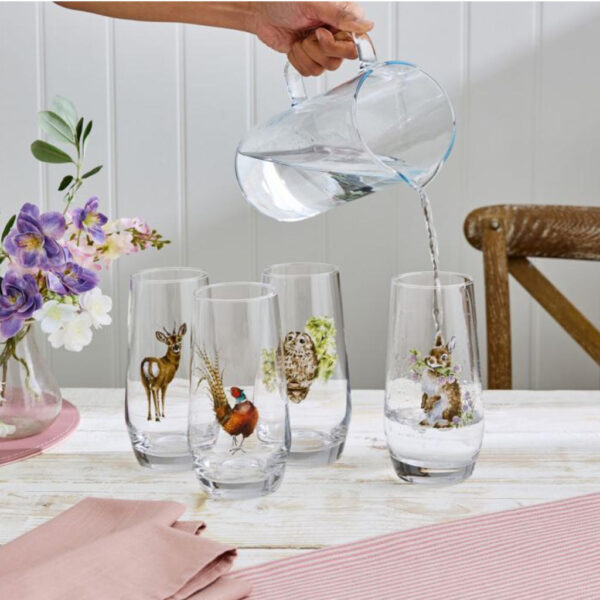 Wrendale Designs Hi-Ball Glasses Main Image